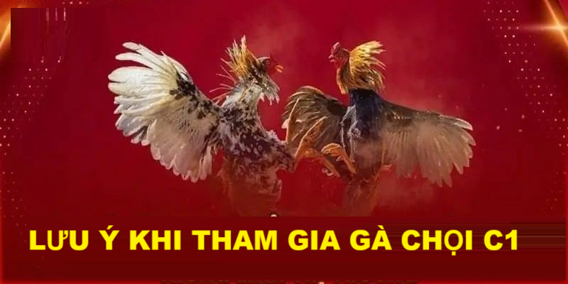 Một số điều cần lưu ý khi tham gà chọi C1